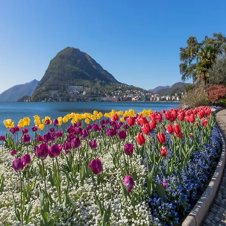Appartement Kiki House For 4 With Balcony & Lift - Happy Lugano